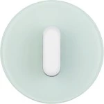 Berker Drehknebel Glas