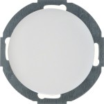 Berker R.Classic Blindplatten