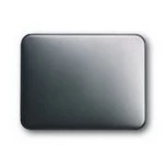 Wippen platin