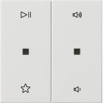 Wippe 2fach Audiosteuerung