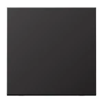 dark (lack. Aluminium)