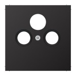 dark (lack. Aluminium)
