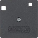 Berker 14961606 Zentralstück für FI-Schutzschalter System 50x50 mm anthrazit matt 