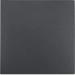 Berker 16201606 Wippe S.1/B.3/B.7 anthrazit matt 