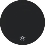 Berker 16202035 Wippe mit Aufdruck Symbol Licht R.1/R.3 schwarz glänzend 