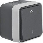 Berker 30723505 Ausschalter 2-polig mit Aufdruck '0' und '1' AP W.1 grau 