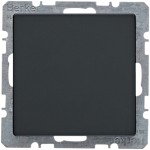 Berker 6710096086 Blindverschluss mit Zentralstück Q.1/Q.3 anthrazit samt 