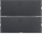 Berker 80162776 Tastsensor 2-fach Komfort mit Beschriftungsfeld KNX K.1 anthrazit matt lackiert 