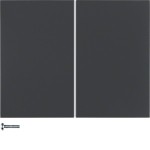 Berker 85142175 Taste 2-fach K.1 anthrazit matt 