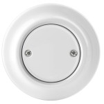 Busch-Jaeger 1742 J-64 Blindzentralscheibe Porzellan 2CHK050100C5300 