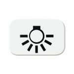 Busch-Jaeger 2525 LI-214 Tastersymbol Licht alpinweiß 2CKA001433A0028 