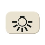 Busch-Jaeger 2525 LI Tastersymbol Licht 2CKA001433A0424 