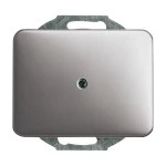 Busch-Jaeger 1749-20 Zentralscheibe mit Tragring platin 2CKA001710A0904 