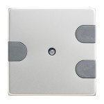 Busch-Jaeger 1745-866 Zentralscheibe edelstahl 2CKA001710A3766 