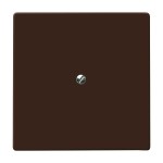 Busch-Jaeger 2138-31 Blindzentralscheibe mit Tragring braun 2CKA001710A3799 