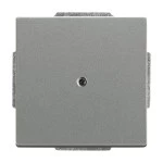 Busch-Jaeger 1742-803 Blindzentralscheibe mit Tragring graumetallic 2CKA001710A3843 