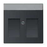 Busch-Jaeger 1800-885 Zentralscheibe mit Beschriftungsfeld schwarz matt 2CKA001710A3910 