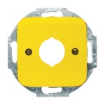 Busch-Jaeger 2533-214-15 Zentralscheibe mit Tragring 2CKA001724A2696 
