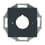 Busch-Jaeger 2533-81 Zentralscheibe mit Tragring anthrazit 2CKA001724A4254 