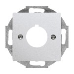 Busch-Jaeger 2533-83 Zentralscheibe mit Tragring alusilber 2CKA001724A4261 