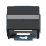 Busch-Jaeger 1758-885 Zentralscheibe mit Tragring schwarz matt 2CKA001724A4299 