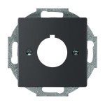 Busch-Jaeger 2533-885 Zentralscheibe mit Tragring schwarz matt 2CKA001724A4301 