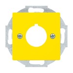 Busch-Jaeger 2533-82-15 Zentralscheibe mit Tragring gelb 2CKA001724A4382 