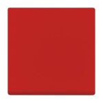 Busch-Jaeger 2506-917 Wippe geschlossen für Schaltereinsatz rot 2CKA001731A2003 