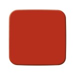 Busch-Jaeger 2506-217-101 Wippe geschlossen für Schaltereinsatz rot 2CKA001731A4012 