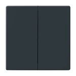 Busch-Jaeger 1785-81 Wippe Serienschalter anthrazit 2CKA001751A2930 