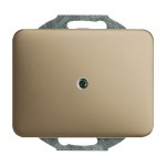 Busch-Jaeger 1742-21 Blindzentralscheibe mit Tragring bronze 2CKA001753A1431 