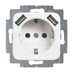 Busch-Jaeger 20 EUCB2USB-214 Schuko 2x USB-Steckdose alpinweiß 2CKA002011A6264 