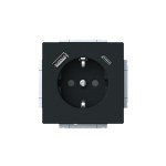 Busch-Jaeger 20 EUCB2USBAC885 20 EUCB2USBAC-885 SCHUKO®-/USB-A+C Steckdose 