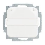 Busch-Jaeger 20 EUKNB-214 Schuko-Steckdose mit Klappdeckel und Beschriftungsfeld alpinweiß 2CKA002013A5318 