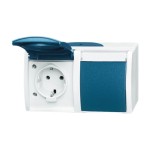Busch-Jaeger 20/2 EWN-53 Schuko Steckdose 2-fach grau/blaugrün 2CKA002084A0703 