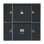 Busch-Jaeger 6126/02-885 Bedienelement 2/4-fach Multifunktion/Farbkonzept schwarz matt 2CKA006116A0194 