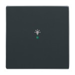 Busch-Jaeger 6231-10-81 Wippe 1-fach mit Symbol 'Licht' anthrazit 2CKA006220A0035 