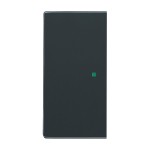 Busch-Jaeger 6230-20-81 Wippe 2-fach links/rechts ohne Bedruckung anthrazit 2CKA006220A0047 