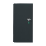 Busch-Jaeger 6231-21-81 Wippe 2-fach links mit Symbol 'Licht' anthrazit 2CKA006220A0050 