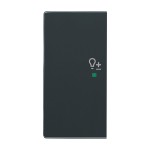 Busch-Jaeger 6234-21-81 Wippe 2-fach links mit Symbol 'Dimmer' anthrazit 2CKA006220A0059 