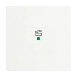 Busch-Jaeger 6233-10-884 Wippe 1-fach mit Symbol 'Szene' studioweiß matt 2CKA006220A0484 