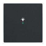Busch-Jaeger 6231-10-885 Wippe 1-fach mit Symbol 'Licht' schwarz matt 2CKA006220A0499 