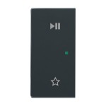 Busch-Jaeger 6237-21-81 Wippe/L 2-fach,Play/Pause anthrazit 2CKA006220A0733 
