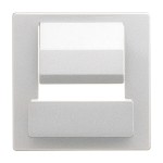 Busch-Jaeger 6477-866 Zentralscheibe für Busch-powerDock edelstahl 2CKA006400A0064 
