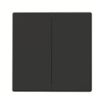 Busch-Jaeger 6736 FoH-81 Wippe Friends of Hue anthrazit 2CKA006730A0133 