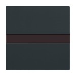 Busch-Jaeger 64765-81 Komfortschalter flex mit Orientierungslicht anthrazit 2CKA006800A2882 