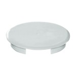 Busch-Jaeger 8229/3 Blinddeckel 2CKA008200A0017 