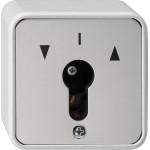 Gira 014430 Schlüsselschalter 2-p WG AP Grau 