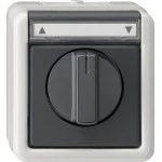 Gira 015430 Jalousie 1-p BSF WG AP Grau 