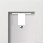 Gira 0276112 Abd. TAE USB Flächenschalter Reinweiß 